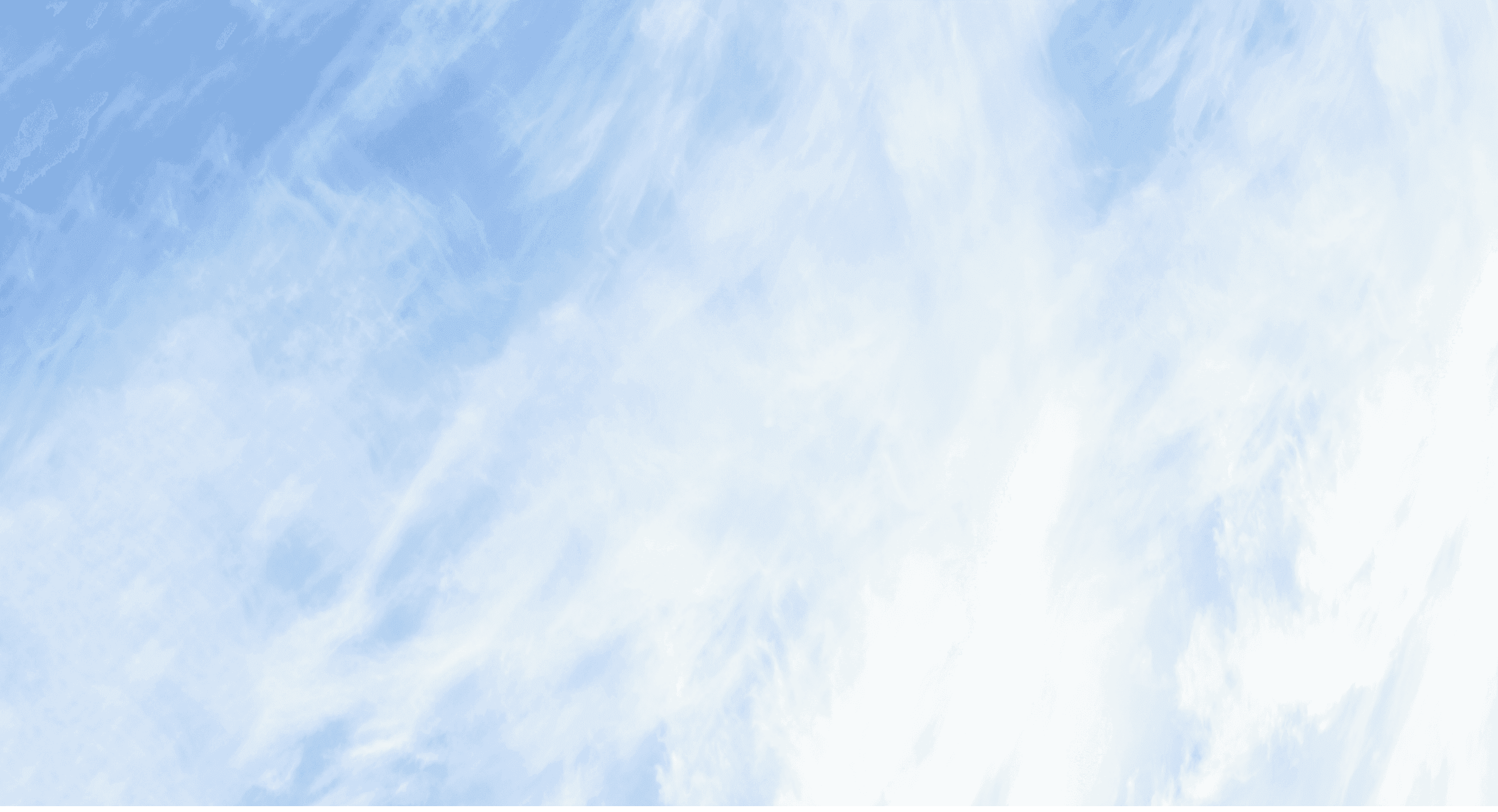 Corporate
     Overview