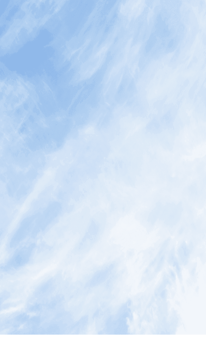 Corporate
     Overview