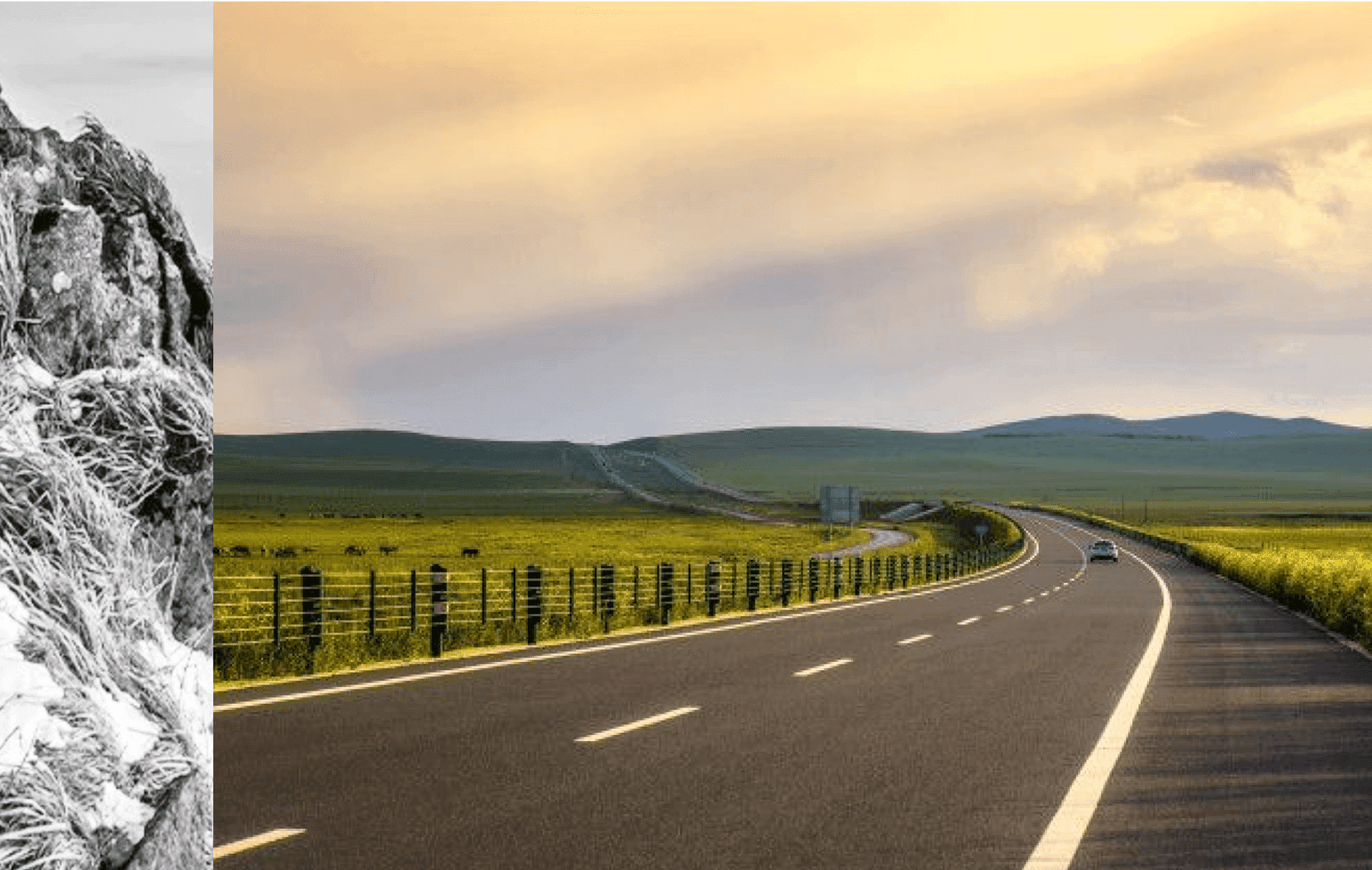 家人支持打下坚实后盾
事业巅峰选择裸辞追梦